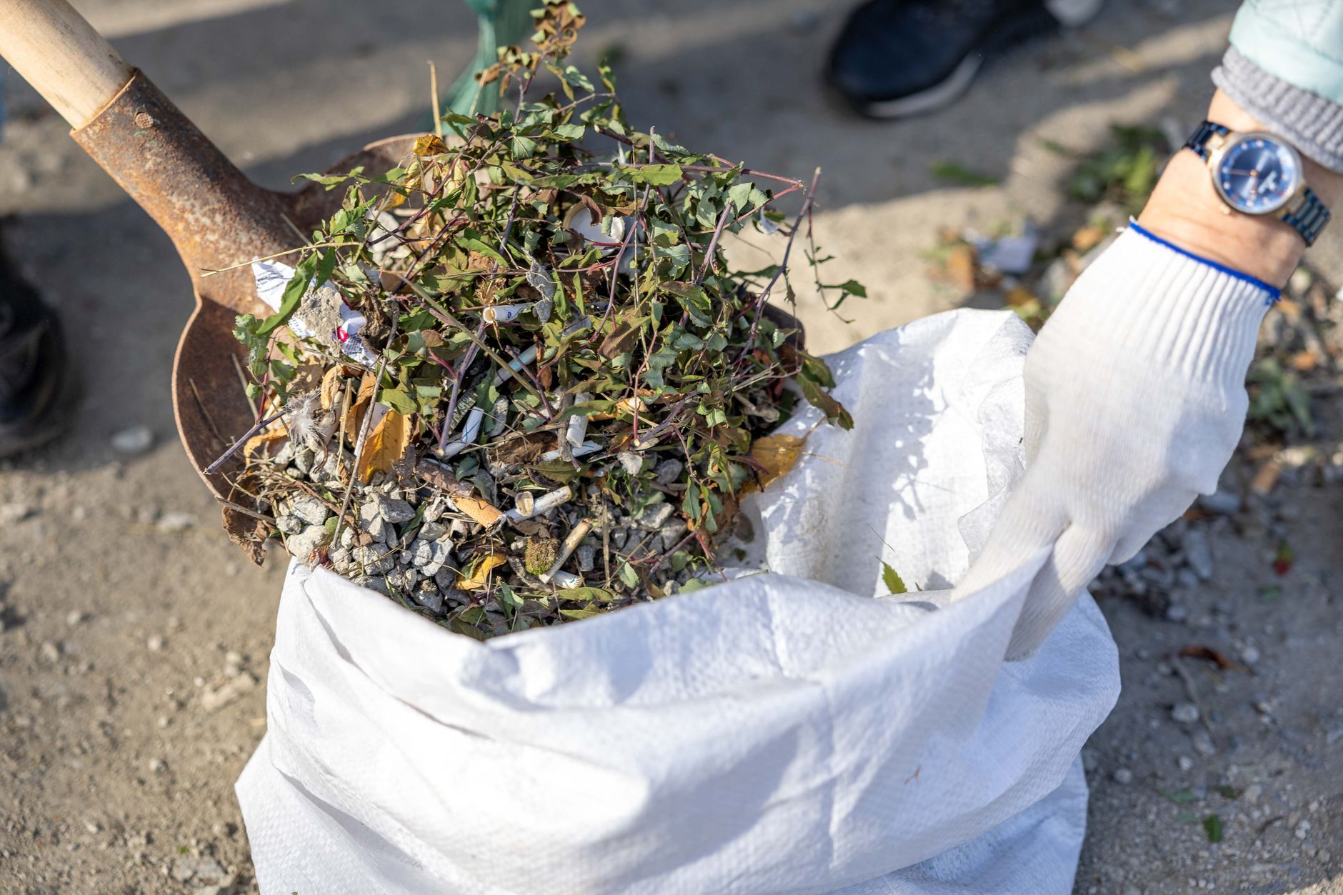 Yard waste removal knoxville